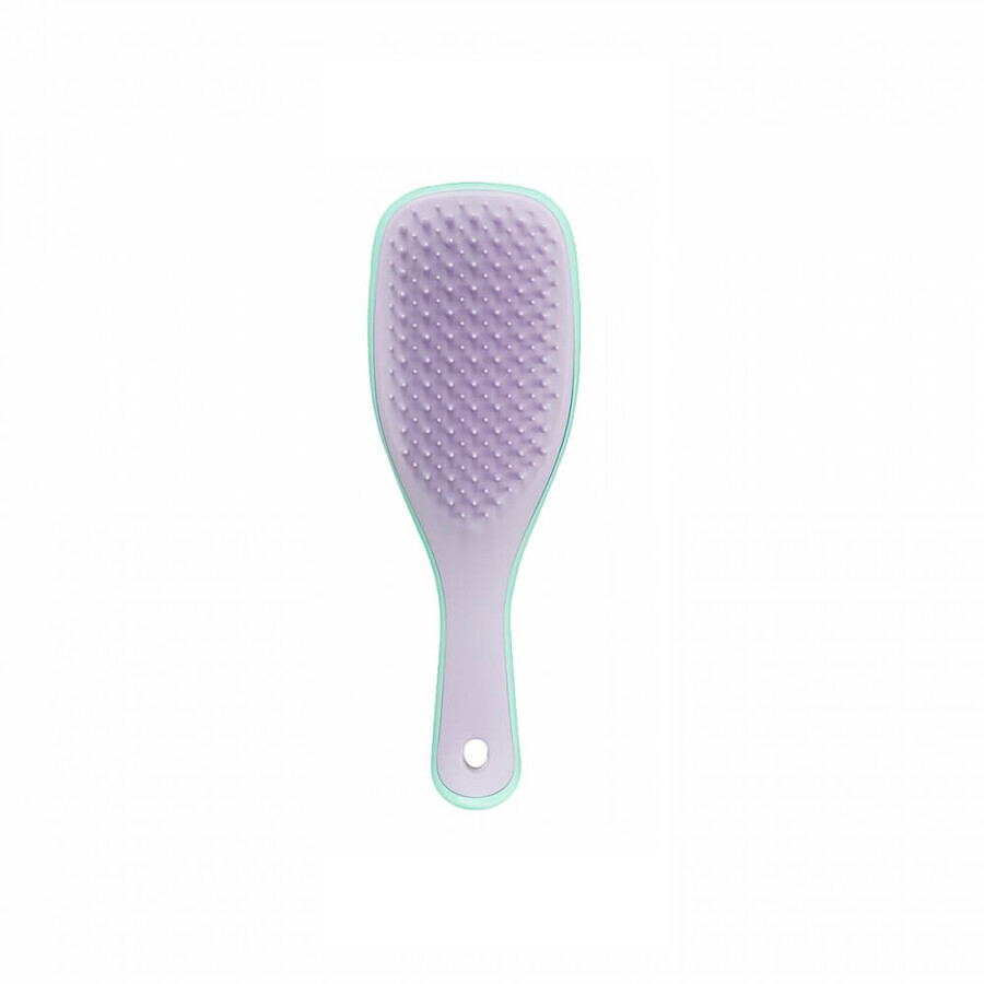 Buy Tangle Teezer The Wet Detangler Mini Wisteria Leaf Wax Brush Tangle Teezer The Wet Detangler Mini Wisteria Leaf Wax Brush
