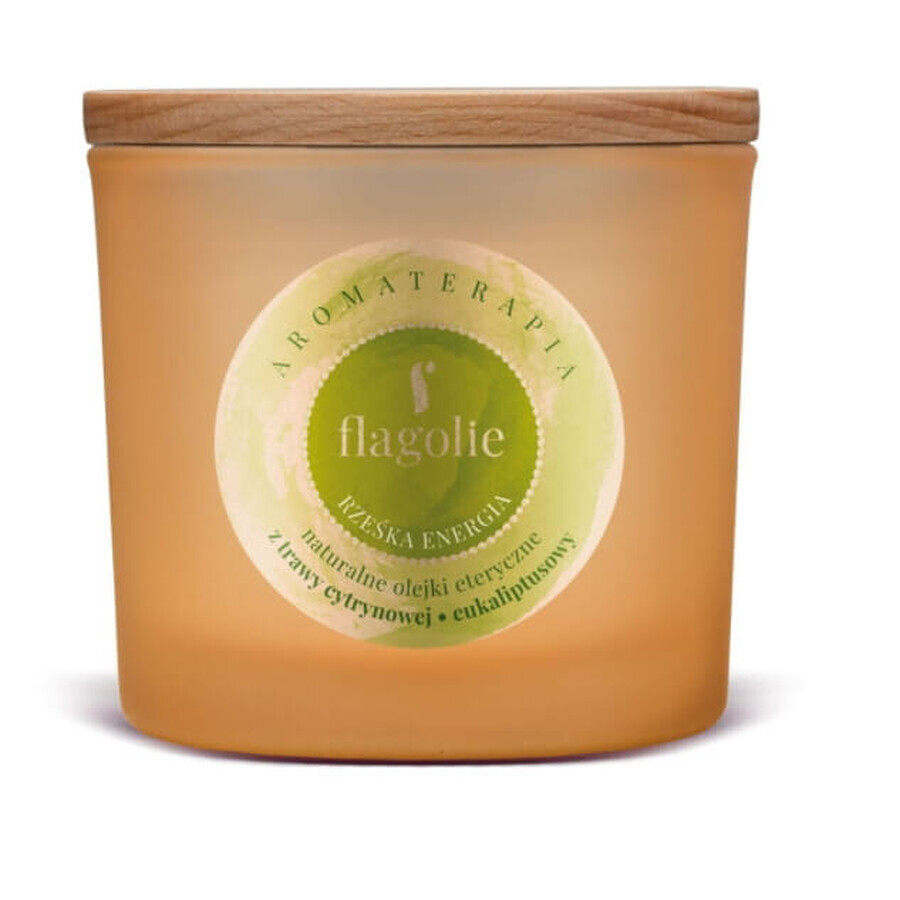 Flagolie, Soja Coroniette, Rivier van Energie, 170g