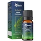 Tea tree natural essential oil, 10 ml