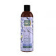 Venita Bio Flax Shampoo rigenerante all&#39;estratto di lino per capelli, 300ml