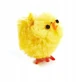 Pollo di Pasqua, 3 pezzi