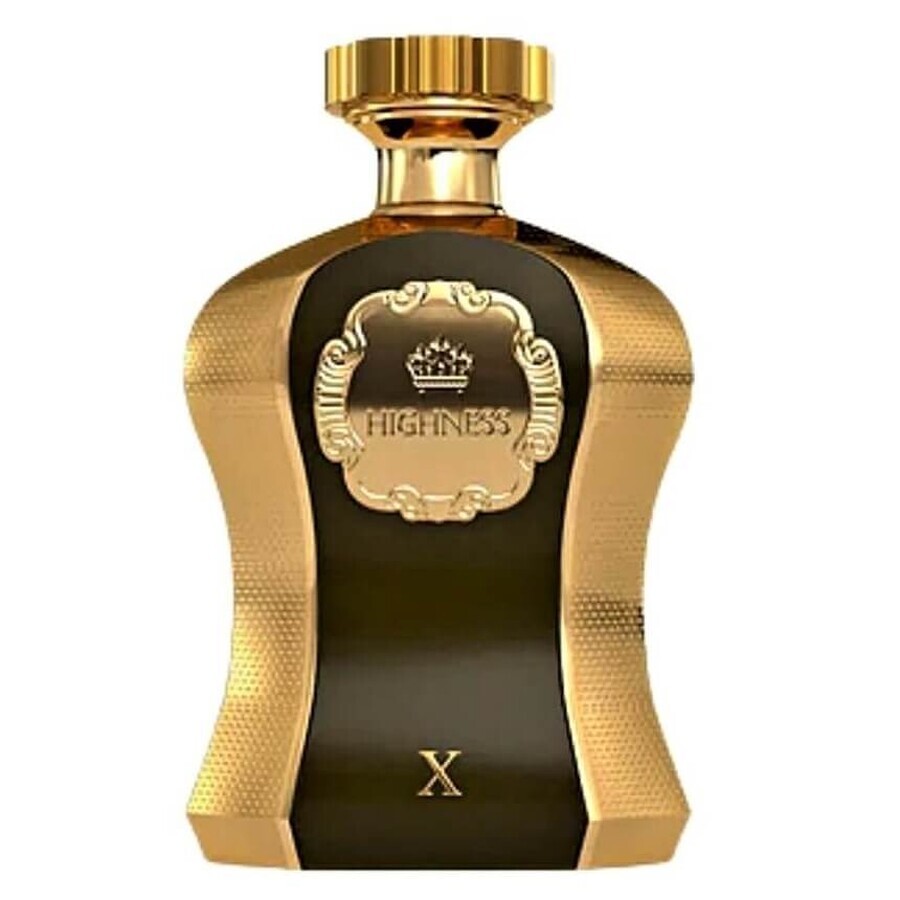 Afnan Highness X Eau de Parfum, 100ml