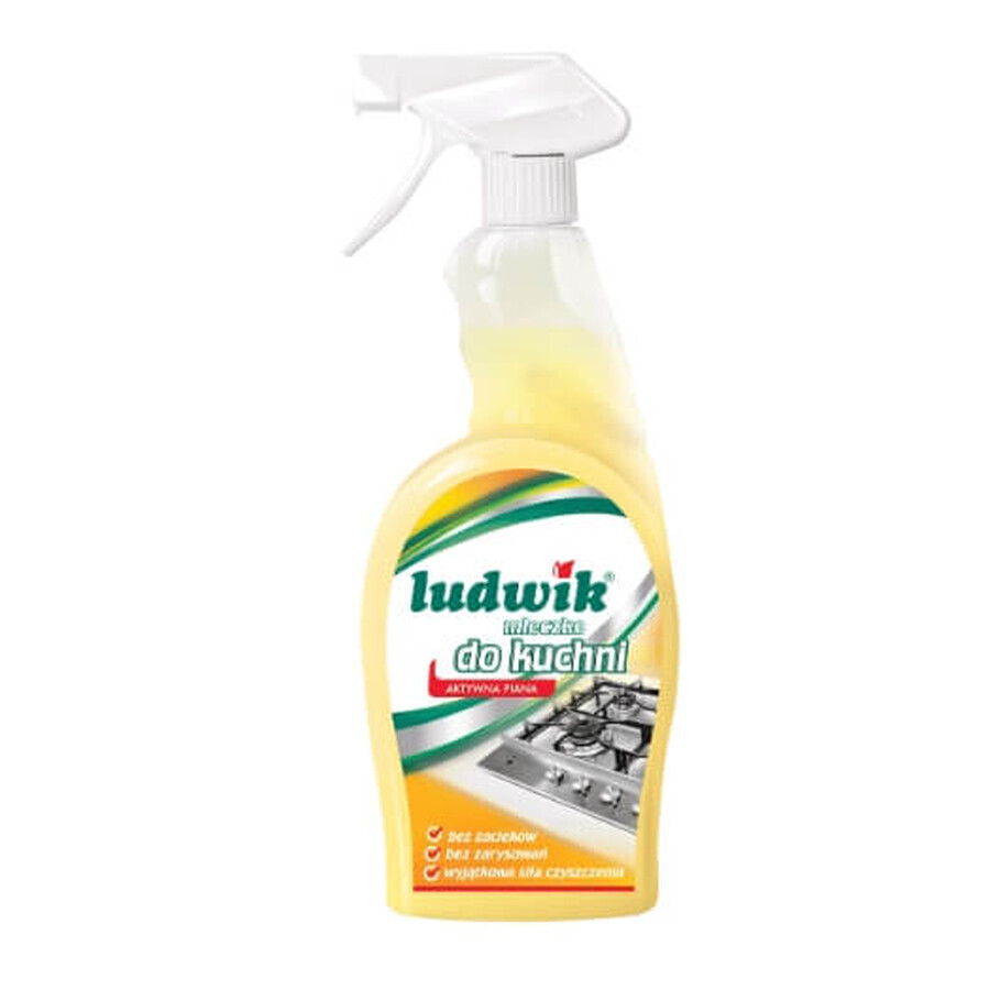 Ludwik Kitchen Cleaning Milk 750 ml