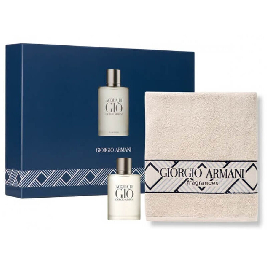 Giorgio Armani Acqua Di Gio Pour Homme Eau de toilette 100ml + asciugamano