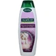 Palmolive, Schönheitsglanz, Shampoo, 350ml