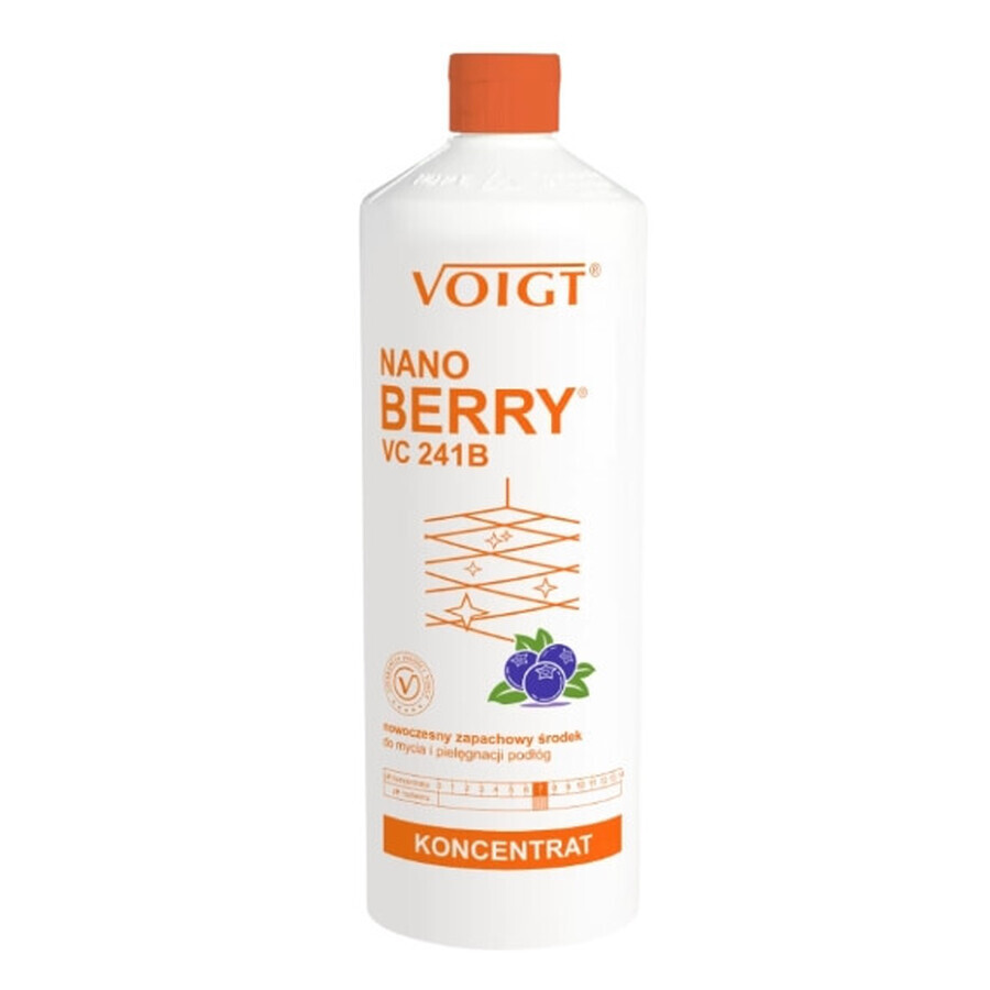 Voigt Nano Berry VC 241B, floor cleaner, 1l