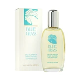 Elizabeth Arden Blaues Gras Eau de Parfum, 100ml