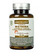 Singularis Superior Wtroba Phytosomal Complex 30 capsules