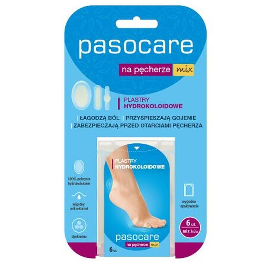 Parches antipulgas hidrocoloides Mix, 6 uds - ¡Para mucho tiempo!