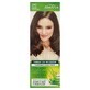 Joanna, Farbe 240, Sodkie Cappuccino