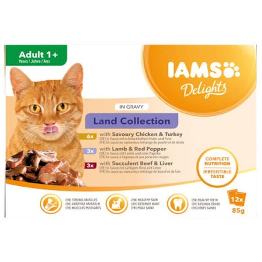 Shop Iams, Katzenfutter für Erwachsene, 12 x 85g Iams, Katzenfutter für Erwachsene, 12 x 85g