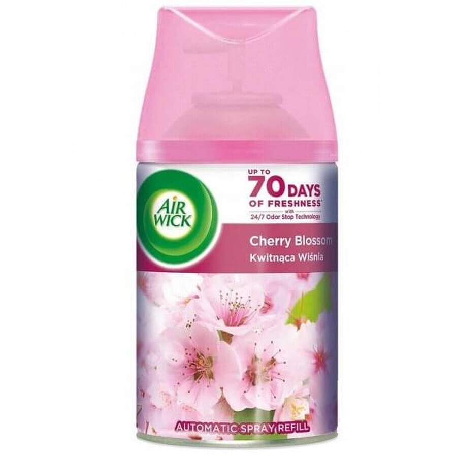 Air Wick Freshmatic Refill air freshener with wine flowers 250 ml