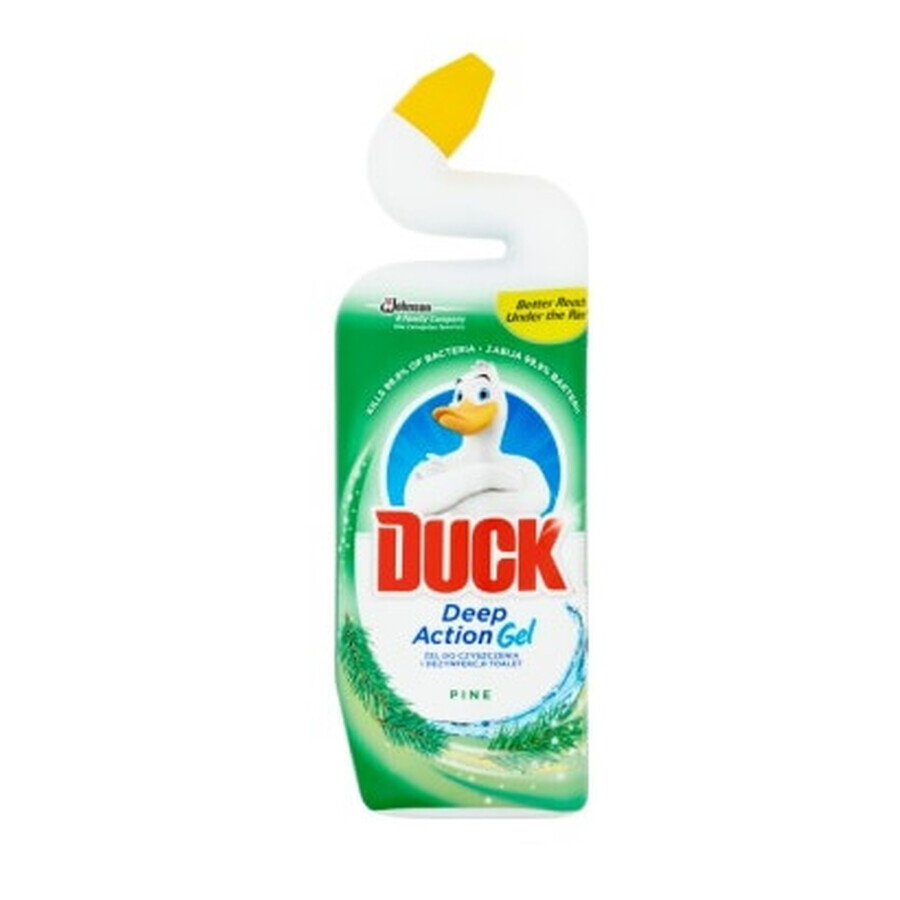 Duck, 5in1 Fresh Toilet Cleaner, 750 ml