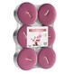 Bispol Chauffages parfum&#233;s maxi Spa Garden Maxi Garden, 6 pi&#232;ces