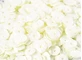 6 mm decoratieve pailletten, crème pastel