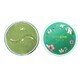 SersanLove Hydroel Eye Patches with green tea extract, 60 pieces