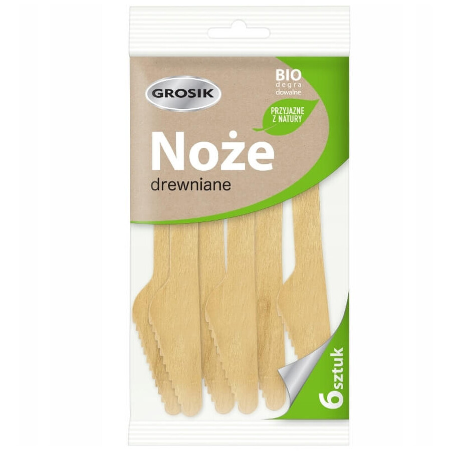 Winkel op Jan Niezbdny, Noach van biologisch afbreekbaar hout, 6 stuks Jan Niezbdny, Noach van biologisch afbreekbaar hout, 6 stuks