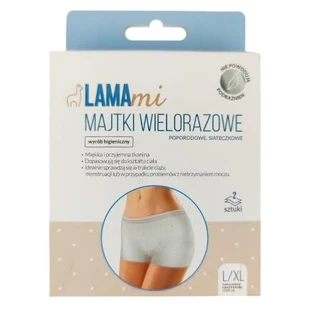 Lamami Postpartum Herbruikbare Mesh Postpartum Slipjes L/XL, 2 stuks
