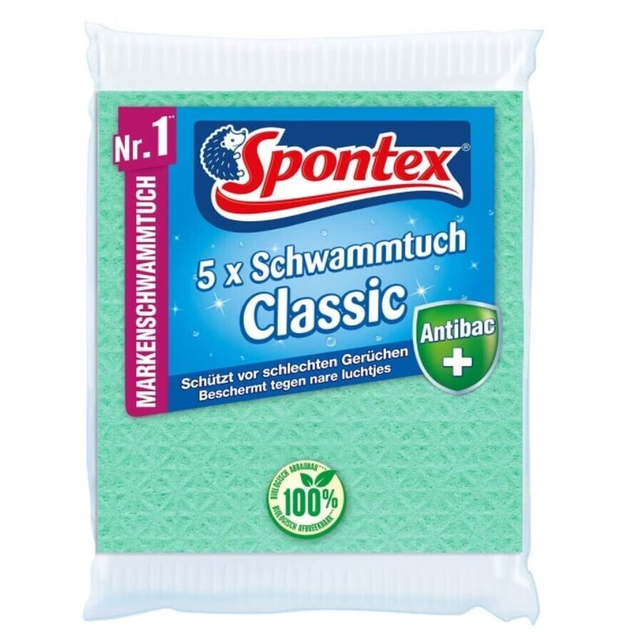 Cepillo de limpieza Spontex gbc, 5 piezas