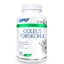 SFD Coleus Forskohlii, 90 tablets