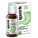 Igastrik pyn 20 ml