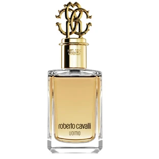 Roberto Cavalli Uomo Eau de toilette, 100ml