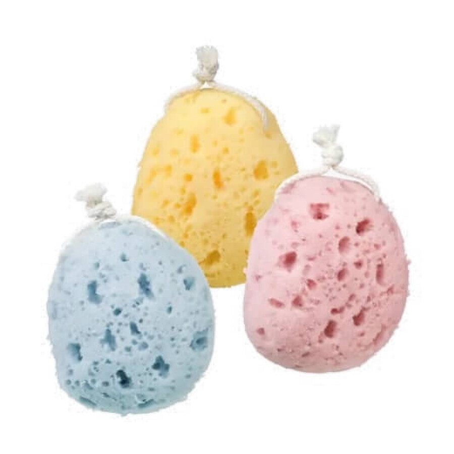 Buy Ebelin bath sponge, 1 pc Ebelin bath sponge, 1 pc