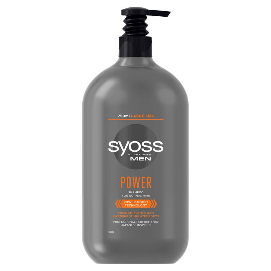Syoss Shampooing pour hommes pour cheveux normaux, 750ml