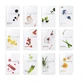 Eunyul, Set of face masks, 12 pieces