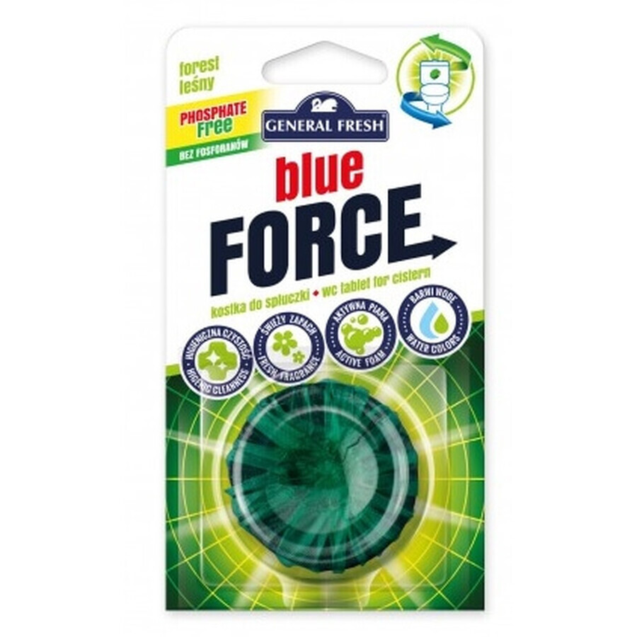 Buy General Fresh, Drain Cube, Forest, 1 pc General Fresh, Drain Cube, Forest, 1 pc