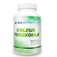 Allnutrition Coleus Forskohlii, 90 cápsulas