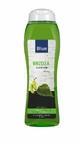 Blue shampoo, birch, 1 l