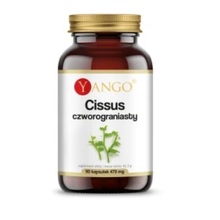 Yango, Cissus quadriplegia, 90 capsule