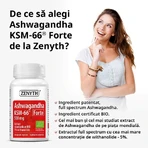 Ashwaghanda KSM-66 Forte, 60 Kapseln, Zenyth