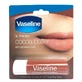 Lippenbalsem met cacaoboter, 4.8 g, Vaseline