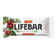 Lifebar