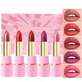 VES2954 Set 5 Rossetti, Handaiyan, B, 5 x 3,5 g
