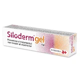 Siloderm-gel, 15 g, Antibiotice SA