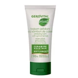 Gerovital Plantaardige Exfoliërende Balsem met Abrikozenpit 100ml