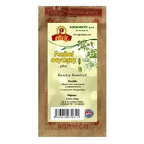 AGROKARPATY Hinojo fruta común
