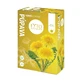 FYTO Paardenbloem, plataanwortel