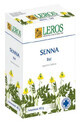 Leros