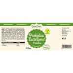 GreenFood Nutrition Probiotic LactoSpore® Probiotiques + Prébiotiques 60 gélules GreenFood Nutrition Probiotic LactoSpore® Probiotiques + Prébiotiques 60 gélules