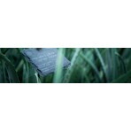 Yves Rocher Trattamento viso e barba corta 50 ml Yves Rocher Trattamento viso e barba corta 50 ml
