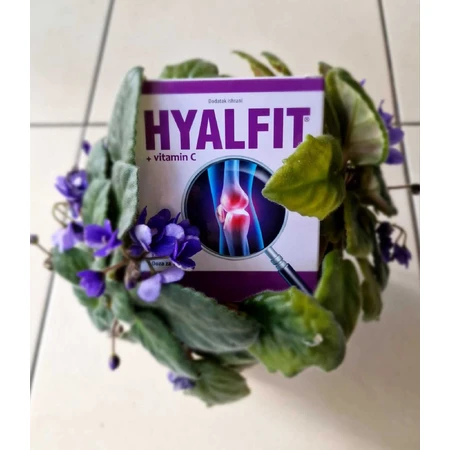 Hyalfit + vitamine C 90 gélules