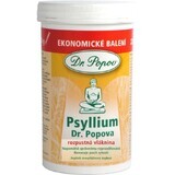 Dr. Popov Psyllium soluble fiber 240 g