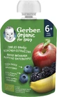 Gerber Organic Bag with apples, bananas, blueberries and blackberries 100% BIO 6m+ 16 x 90 g