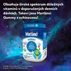 Martiens Walmark Gummy Echinacea 20 mg comprimés de gélatine 50 pcs