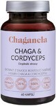 Chaganela Chaga extract with cordyceps 60 capsules