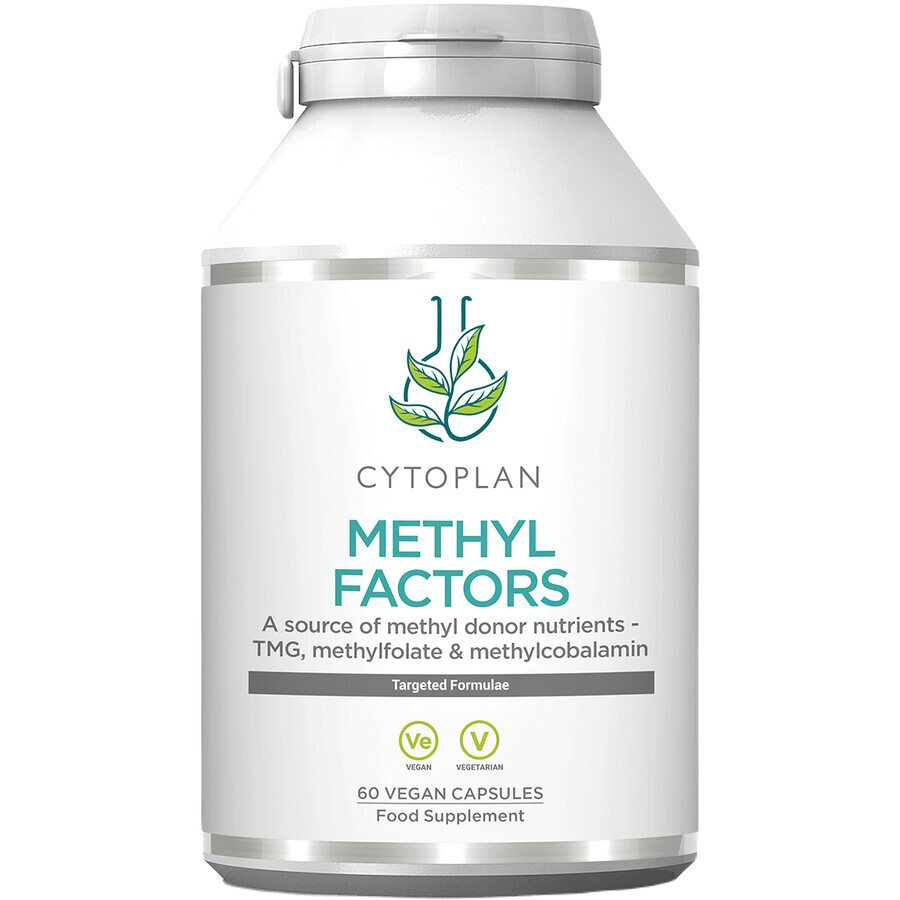Cytoplan METHYL FACTORS - B1 + Betaine + B2 + B6 + Folic Acid (L-Methylfolate) + Vitamin B12 and Zinc 60 capsules